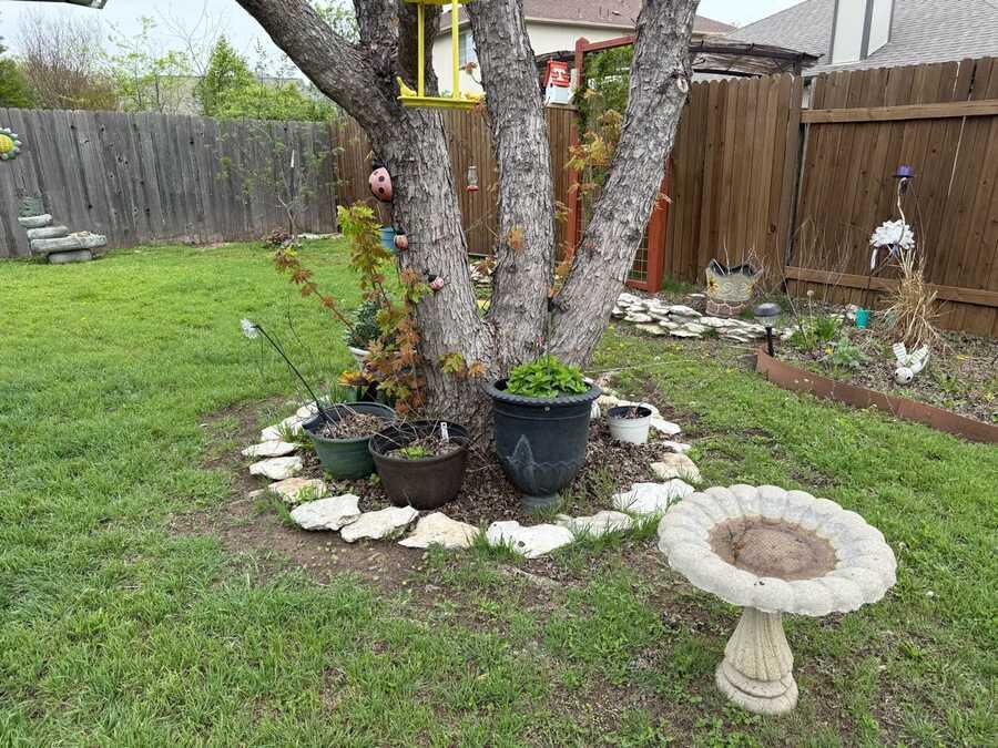 Tree bed before: loose flagstone ring, scattered pots, patchy ground under a mature tree